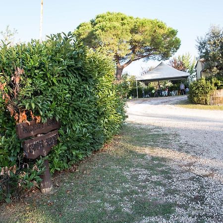 Agriturismo Poggetto Villa Larciano Dış mekan fotoğraf