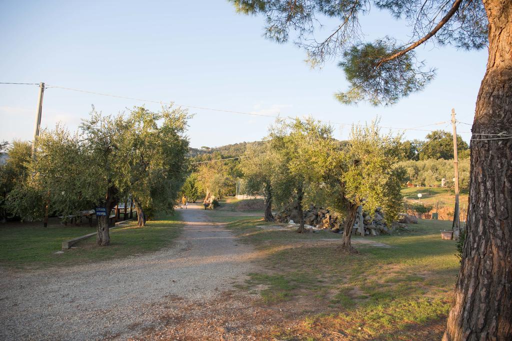 Agriturismo Poggetto Larciano Dış mekan fotoğraf