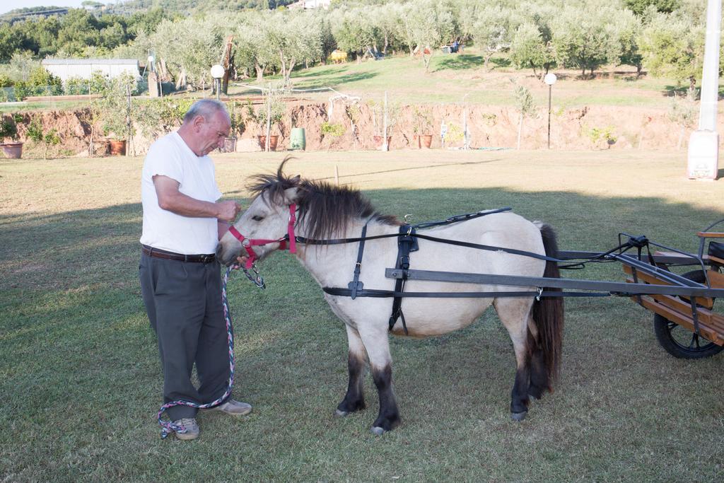 Agriturismo Poggetto Villa Larciano Dış mekan fotoğraf