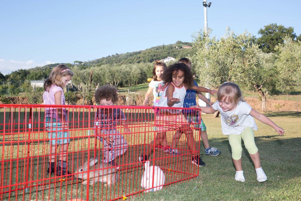 Agriturismo Poggetto Villa Larciano Dış mekan fotoğraf